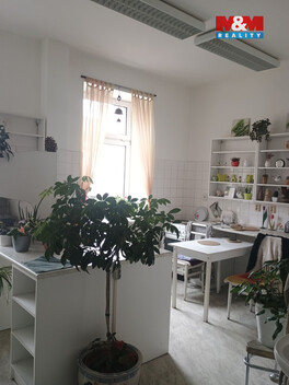 937/foto12_11471548_j3hx8.jpg