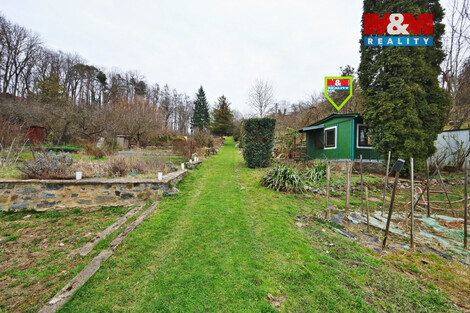 937/foto12_11472482_19meuo.jpg