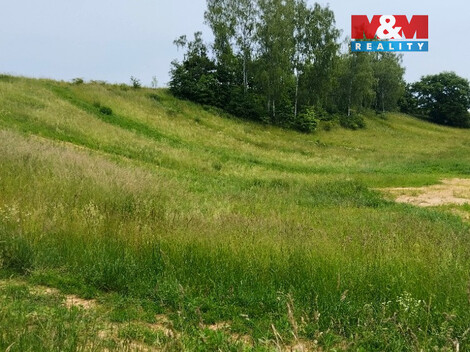 937/foto12_11476474_13d1w.jpg
