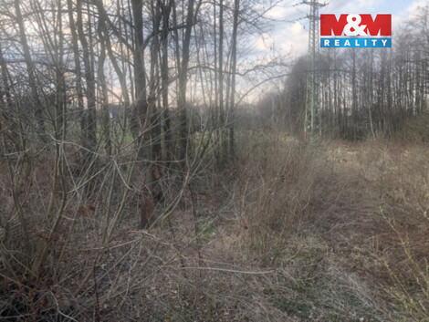 937/foto12_11483707_wqfj8.jpg