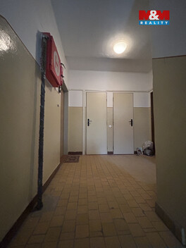 938/foto12_11475135_lphy8.jpg