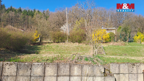 938/foto12_11476569_7y5jk.jpg