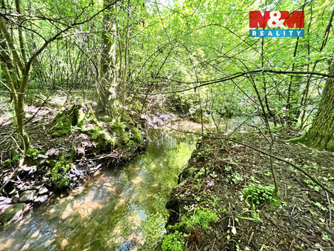 938/foto12_11478412_l01d0.jpg