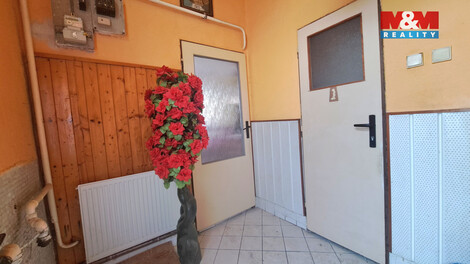 938/foto12_11480166_w9jqo.jpg