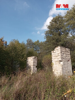 938/foto12_11499440_ylq7w.jpg