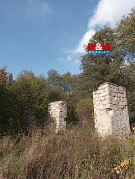 938/foto12_11511249_ktjn4.jpg