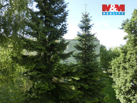 939/foto12_11477659_9bgjk.jpg