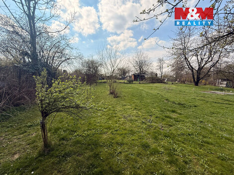 939/foto12_11478358_bi3hg.jpg