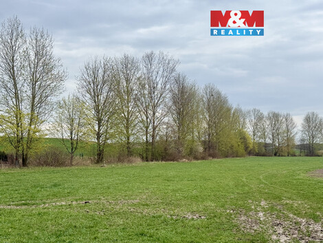 939/foto12_11480106_1cxvxk.jpg