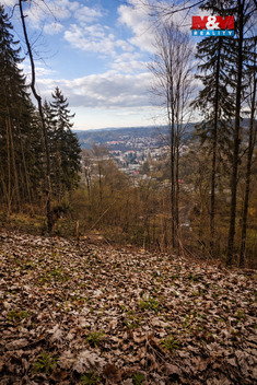 939/foto12_11480123_zo2jk.jpg