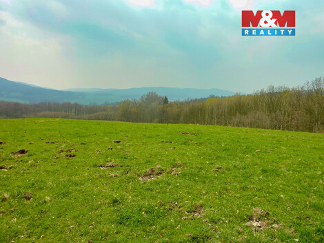 939/foto12_11481368_rrvws.jpg