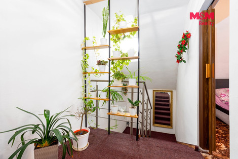 939/foto12_11551962_priw8.jpg