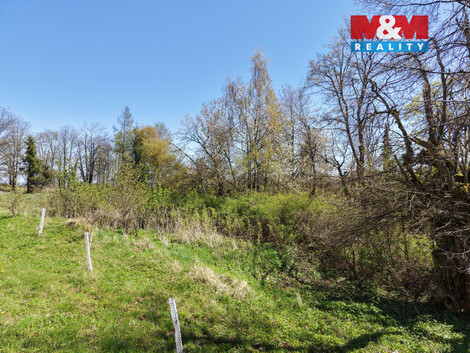 940/foto12_11491175_zi4cg.jpg