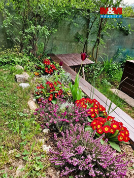 940/foto12_11493788_1mp1tw.jpg