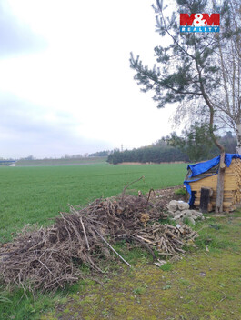 940/foto12_11495613_qxcj0.jpg