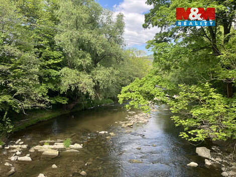 941/foto12_11489698_1bbq6k.jpg