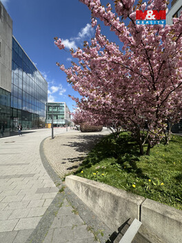 941/foto12_11489790_9qa9g.jpg