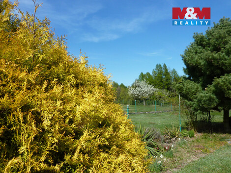 941/foto12_11489795_1mnou0.jpg