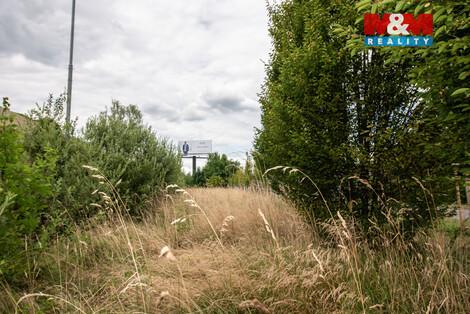 941/foto12_11491069_jv3fw.jpg