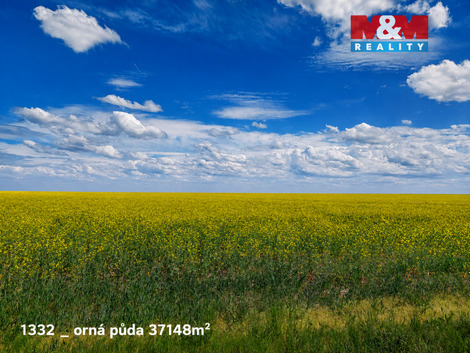 941/foto12_11491775_y7g3k.jpg