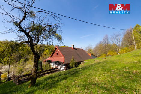 941/foto12_11492036_z5w80.jpg
