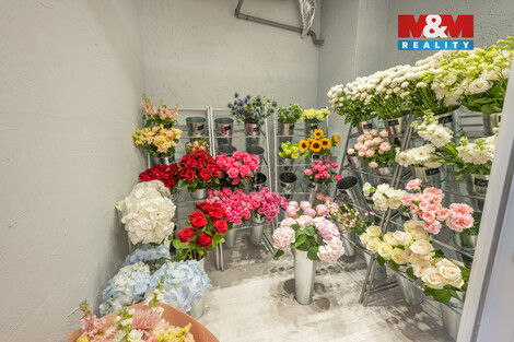 941/foto12_11495070_zyg0.jpg