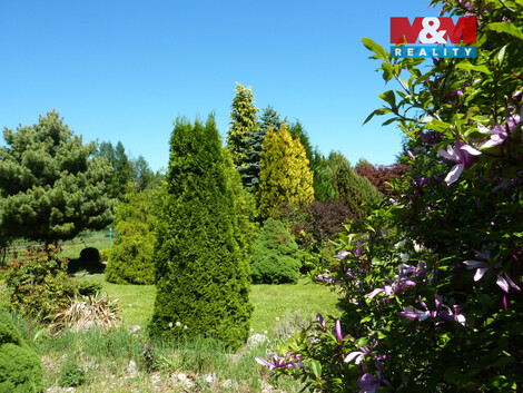 941/foto12_11500132_1cp06g.jpg