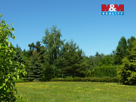 941/foto12_11500132_1gvo3k.jpg