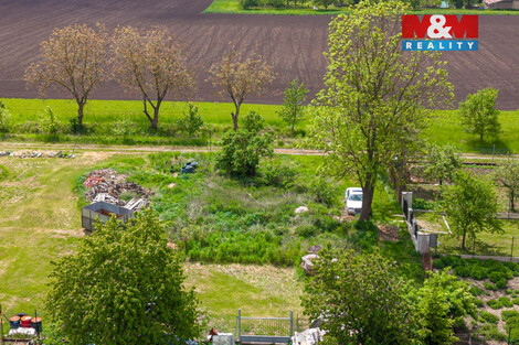 941/foto12_11500146_wr2ao.jpg