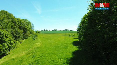 941/foto12_11500883_nilus.jpg