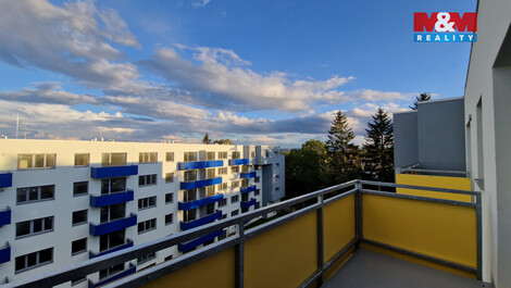 942/foto12_11491658_xm8wk.jpg