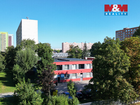 942/foto12_11491717_cthck.jpg