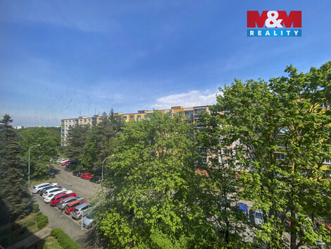 942/foto12_11497843_7zks0.jpg