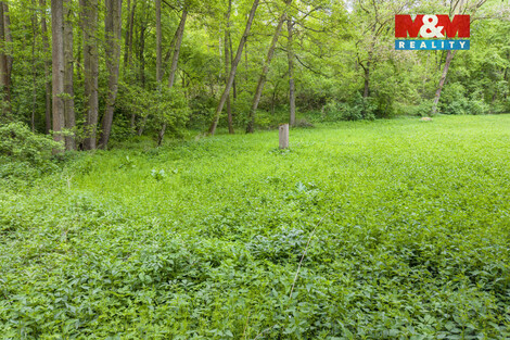 942/foto12_11498529_11pd1o.jpg