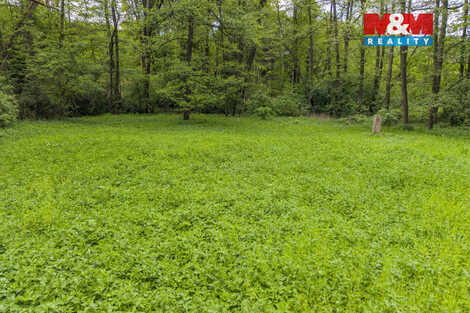 942/foto12_11498529_1ba12k.jpg