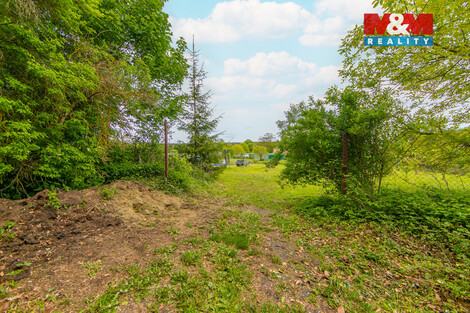 942/foto12_11502608_2dcu8.jpg