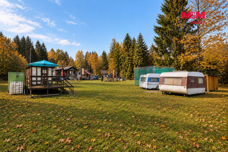 942/foto12_11570022_119dfg.jpg