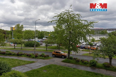 943/foto12_11496709_qyd0w.jpg