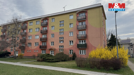 943/foto12_11497333_8sloo.jpg