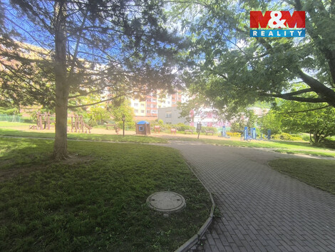 943/foto12_11500244_1acac0.jpg