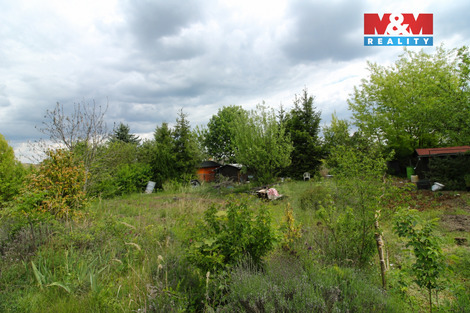 943/foto12_11500877_cgxvs.jpg