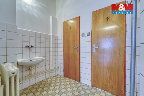 943/foto12_11500968_tzypc.jpg