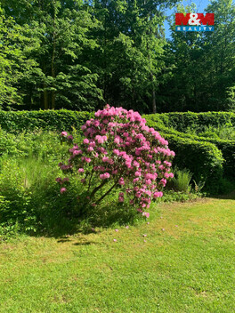 943/foto12_11501498_1l32eo.jpg