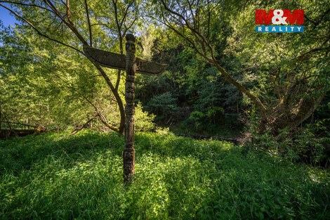 943/foto12_11506207_1afdis.jpg