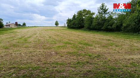 943/foto12_11512790_1jchpg.jpg