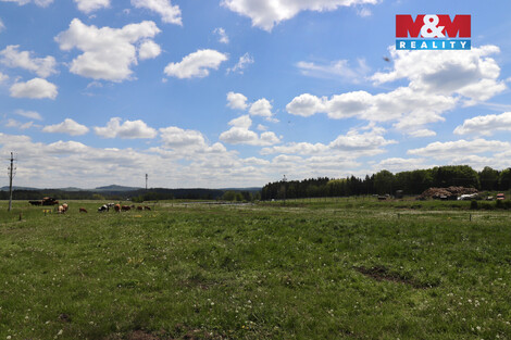 944/foto12_11501597_6xqz0.jpg