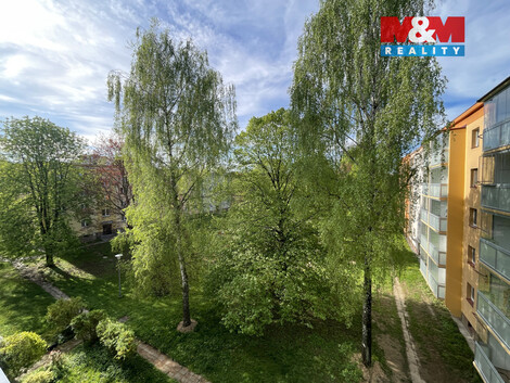944/foto12_11502063_1ger2k.jpg