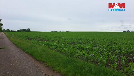 944/foto12_11507709_1awb0g.jpg