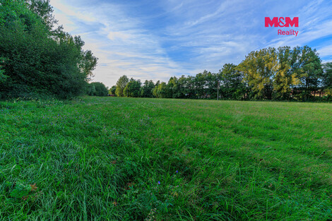 944/foto12_11522537_t9p98.jpg