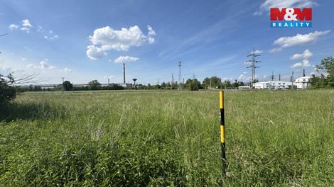945/foto12_11515921_10w7tg.jpg